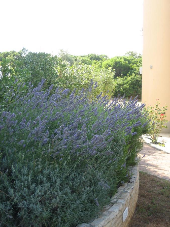 Villa „Drei Palmen“ سفيتي فيليب ياكوف المظهر الخارجي الصورة