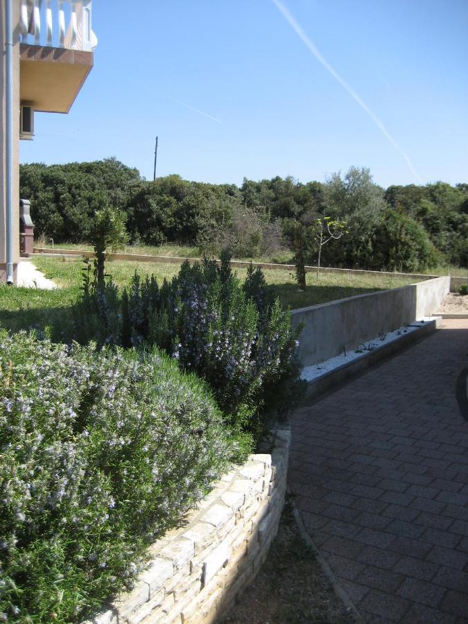 Villa „Drei Palmen“ سفيتي فيليب ياكوف المظهر الخارجي الصورة