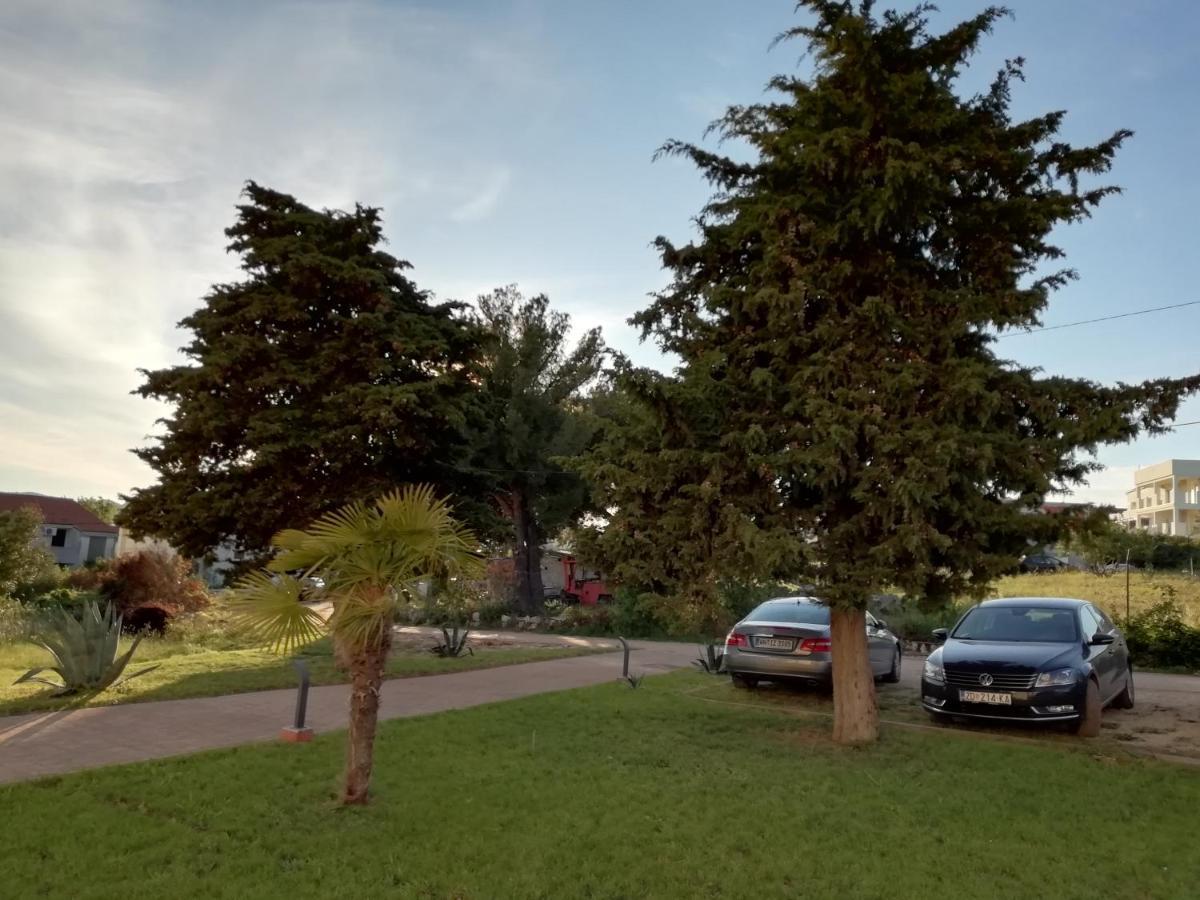 Villa „Drei Palmen“ سفيتي فيليب ياكوف المظهر الخارجي الصورة