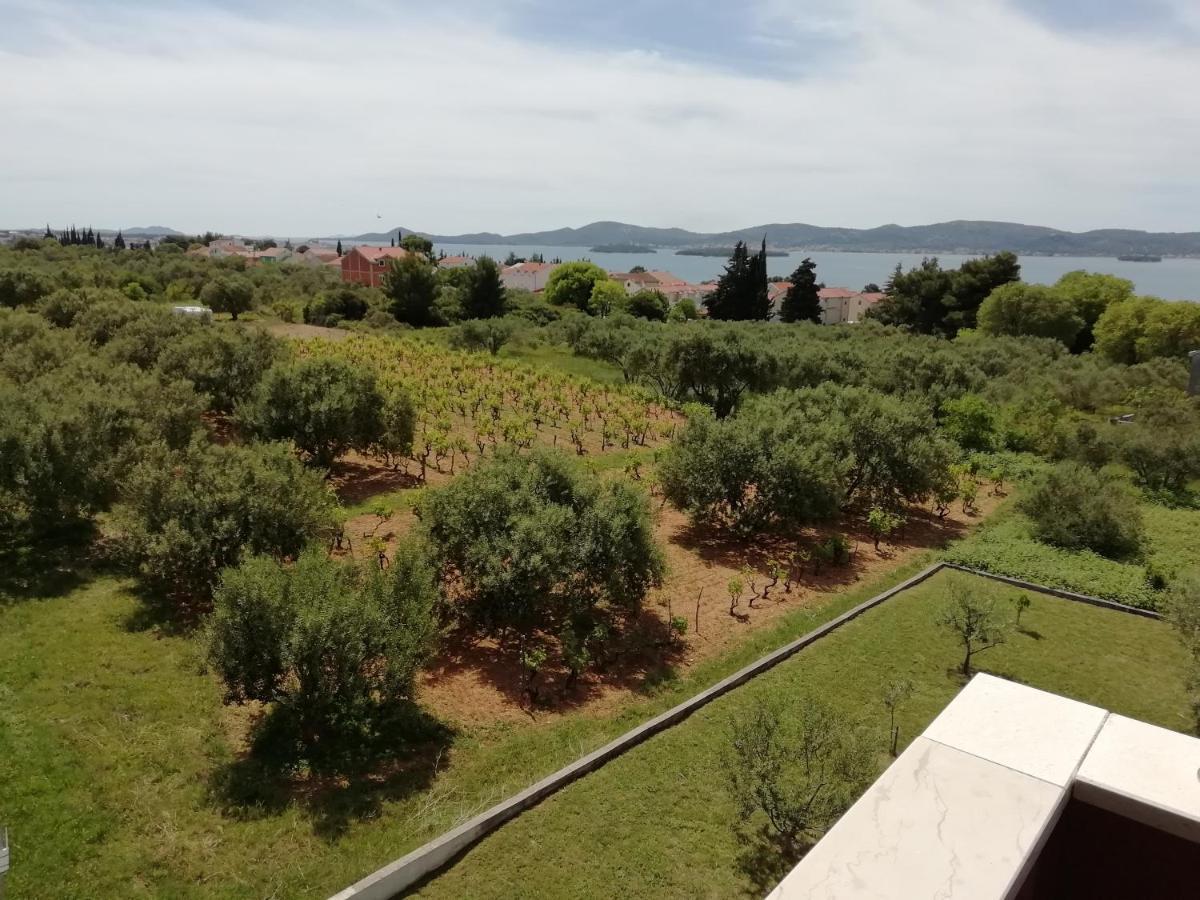 Villa „Drei Palmen“ سفيتي فيليب ياكوف المظهر الخارجي الصورة